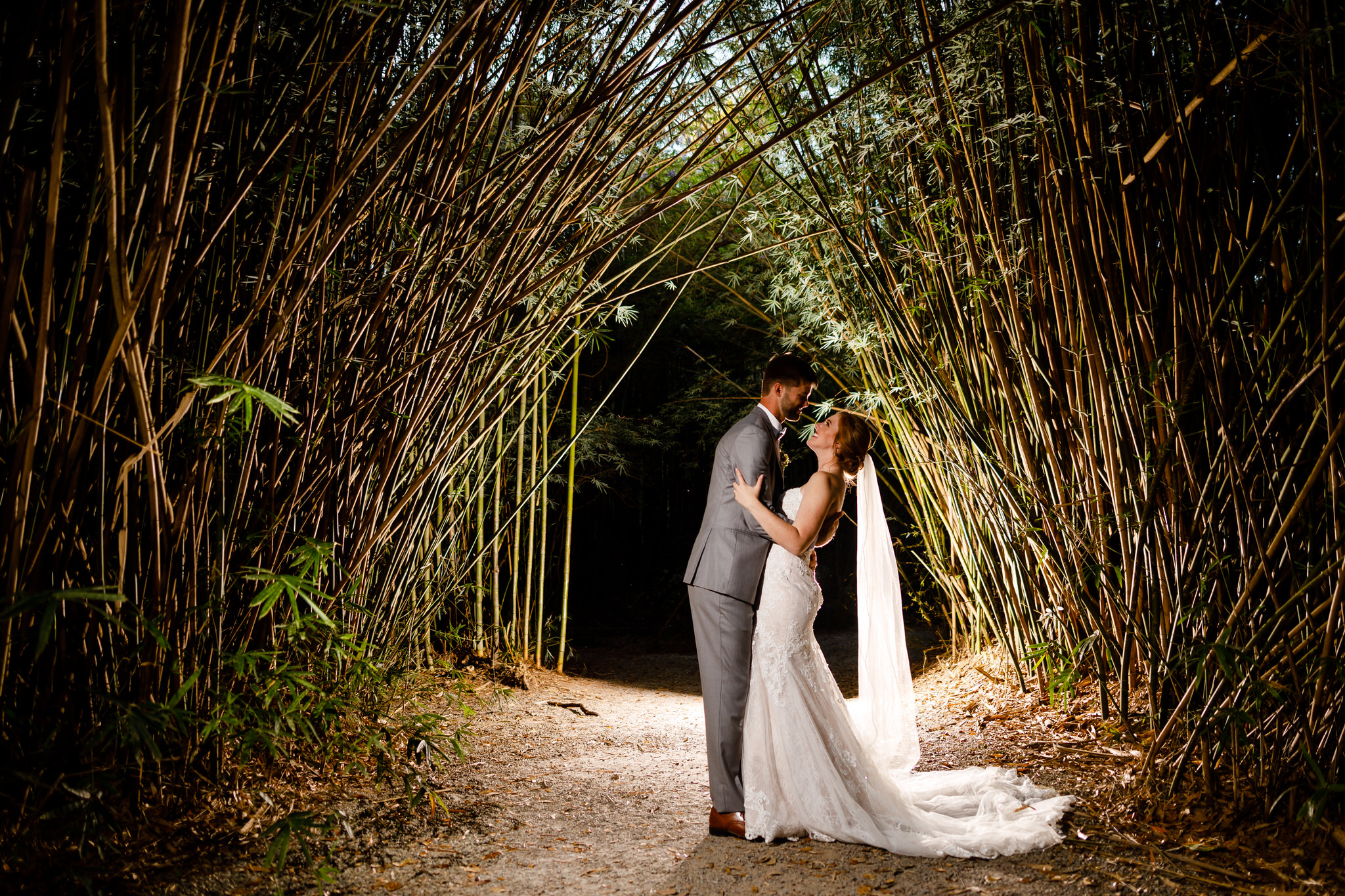 Bamboo, Charleston Wedding, Charleston Wedding Photographer, Bamboo portrait, bride and groom, wedding day, wedding portrait, clpwedding, cory lee photography wedding